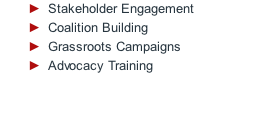 Stakeholder Engagement Coalition Building Grassroots Campaigns  Advocacy Training